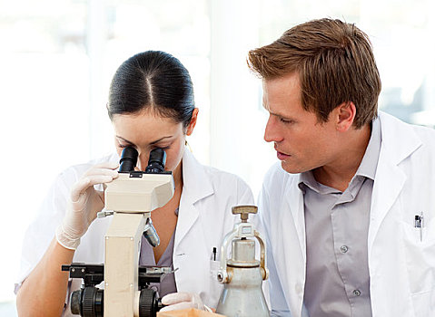 科学家,看穿,显微镜