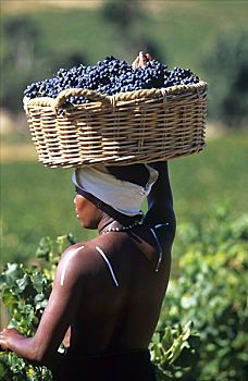 年轻,非洲女人,篮子,葡萄