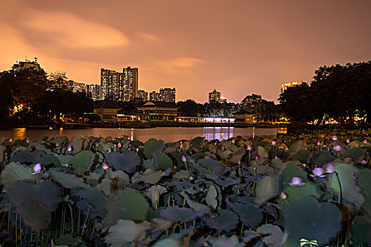 荔湾湖