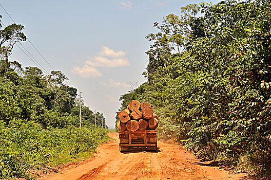 卡车,运输,木料,亚马逊河,雨林,森林采伐,违法,伐木,巴西,南美