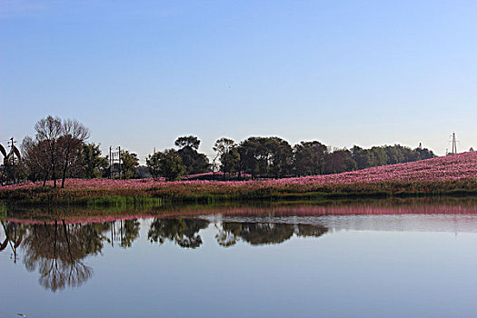 花湖