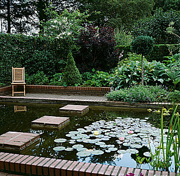 观赏花园,水塘,水生植物