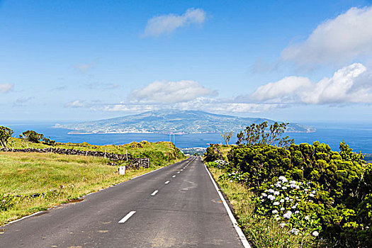 道路,牧场,正面,风景,法亚尔,远景,皮库岛,亚速尔群岛,葡萄牙