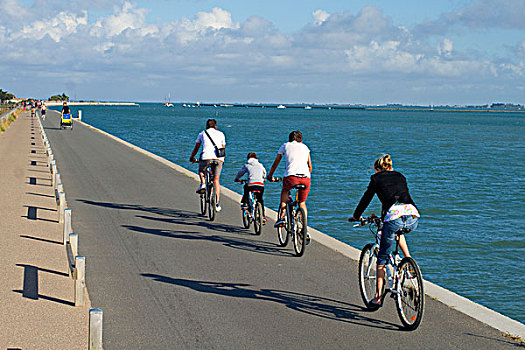 法国,南法诺穆提岛,旅游,骑,自行车,码头