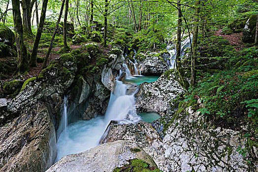 河,瀑布,特拉维夫,国家公园,斯洛文尼亚,欧洲