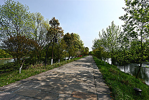 杭州西溪湿地寿堤