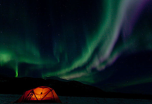 光亮,探险,帐蓬,传统,木质,雪地鞋,北方,极光,北极光,绿色,紫色,蓝色,靠近,育空地区,加拿大