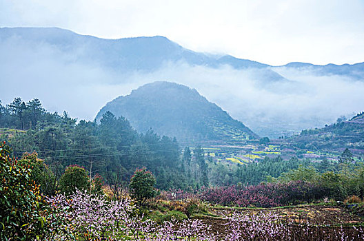 雾色田园