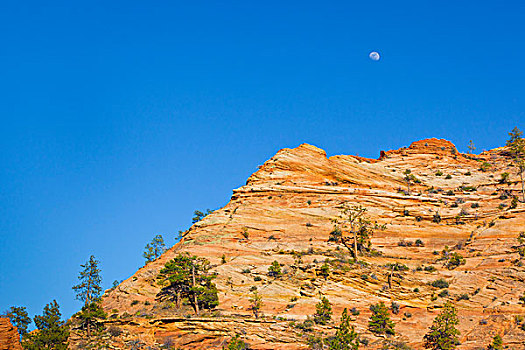 月亮,上方,岩石构造,锡安国家公园,犹他,美国