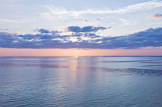 日落,上方,波罗的海,德国