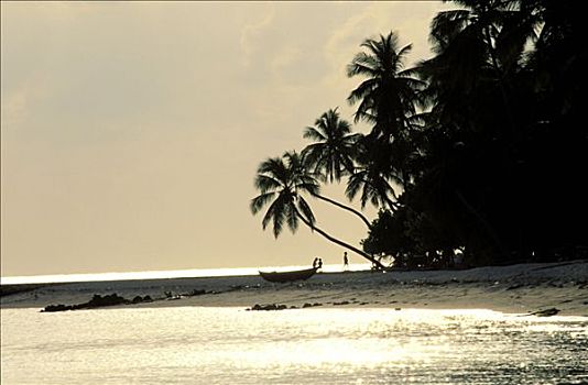 马尔代夫,环礁,捕鱼者,岛屿