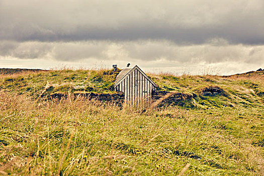 小屋,草,屋顶,冰岛