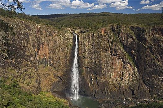 瀑布,国家公园,昆士兰,澳大利亚