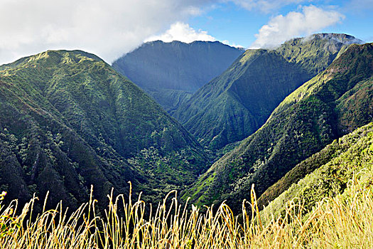 西部,毛伊岛,山