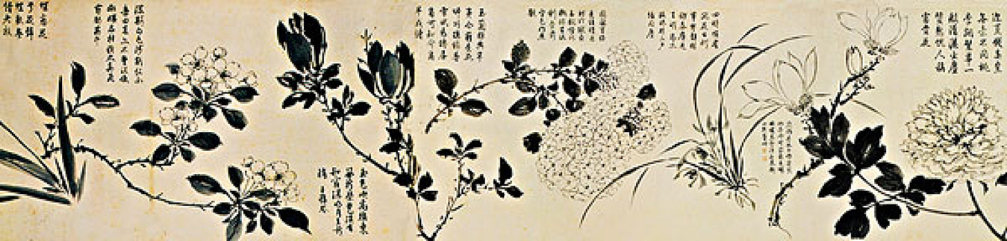 古画,百花图卷,周之冕,明朝