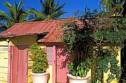 多米尼加共和国,传统,房子