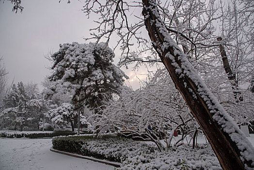 城市雪景