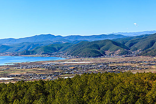 拉市海湿地自然保护区