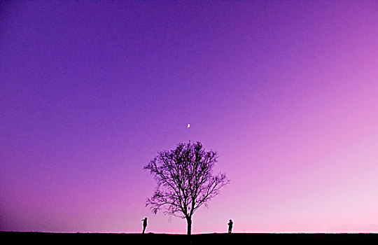 傍晚紫色的天空剪影
