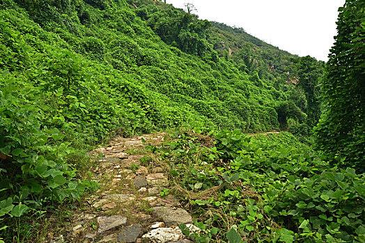 河北省石家庄平山县藤龙山风景区