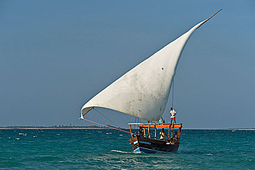 独桅三角帆船,航行,群岛,海岸,北方,莫桑比克