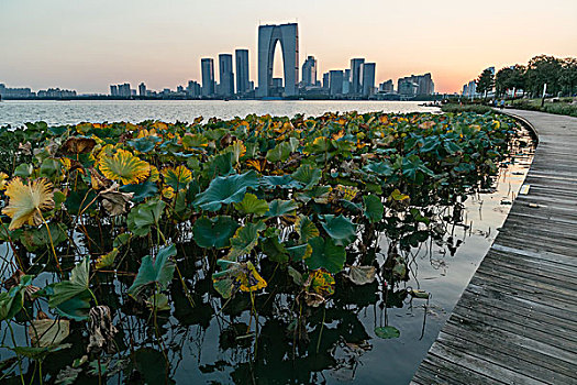 苏州金鸡湖