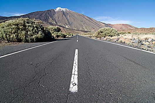 道路,通过,火山,特内里费岛,加纳利群岛,西班牙