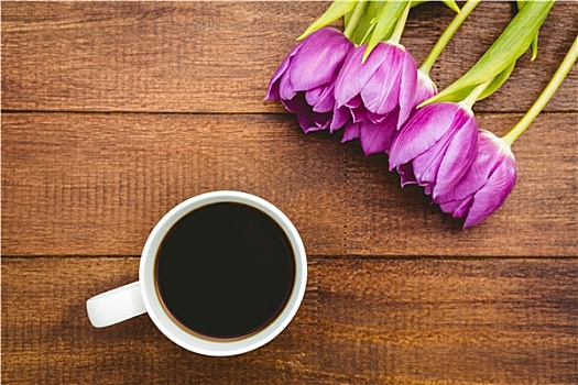 紫花,一杯咖啡