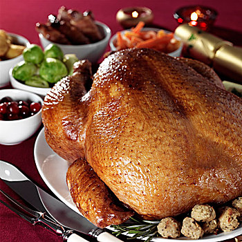 传统的,土耳其,圣诞晚餐
