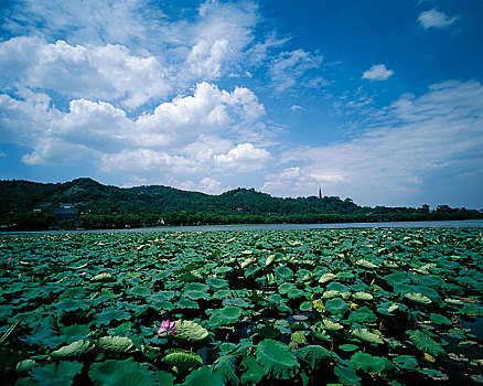 杭州西湖风光