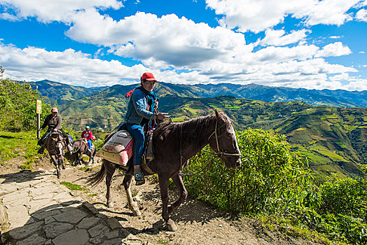 骑马,狭窄,小路,省,安第斯山,秘鲁,南美