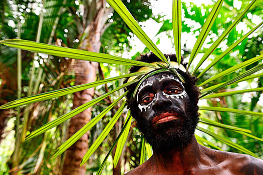 男人,脸部彩绘,头饰,叶子,巴布亚新几内亚,大洋洲
