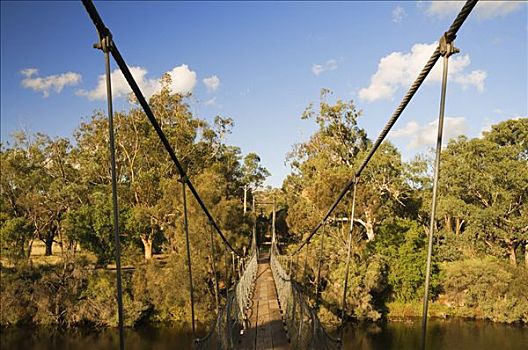 吊桥,雅芳河,西澳大利亚,澳大利亚