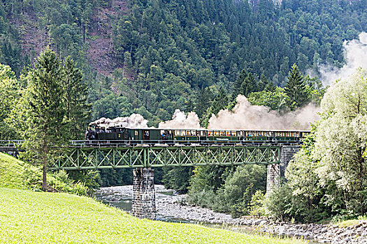 布雷根茨,树林,铁路,火车头,穿过,钢铁,桥,奥地利,欧洲