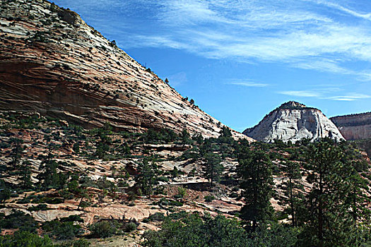 宰恩国家公园,锡安国家公园,锡安山峡谷,棋盘山,山谷,山峰,山脉,黑松树,公路,汽车,北美洲,美国,犹他州,史普林戴尔,风景,全景,文化,景点,旅游