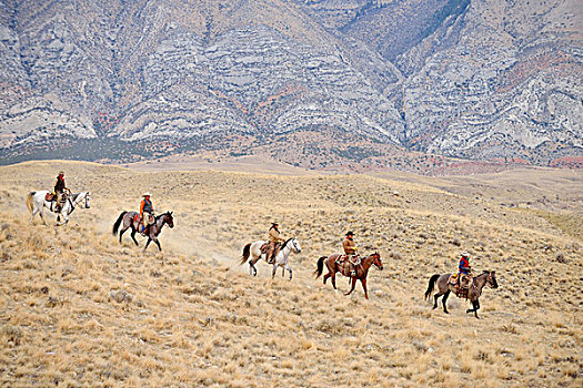 牛仔,女牛仔,骑,马,荒野,落基山脉,怀俄明,美国