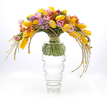 植物学,彩色,春天,花束,安放,花瓶,隔绝,白色背景