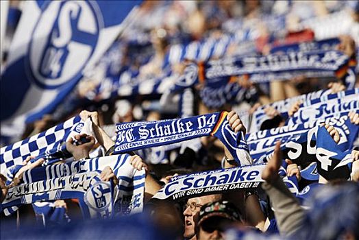 德国,足球,球迷,支持者,蓝色,白色,围巾,支持,团队,盖尔森基兴,北莱茵威斯特伐利亚