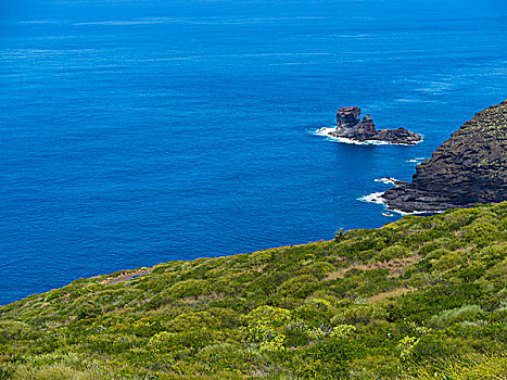 悬崖,靠近,波多黎各,帕尔玛,加纳利群岛,西班牙,欧洲