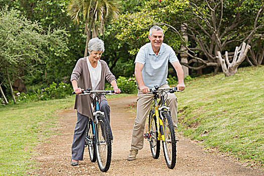 老年,夫妻,自行车,乘,乡村