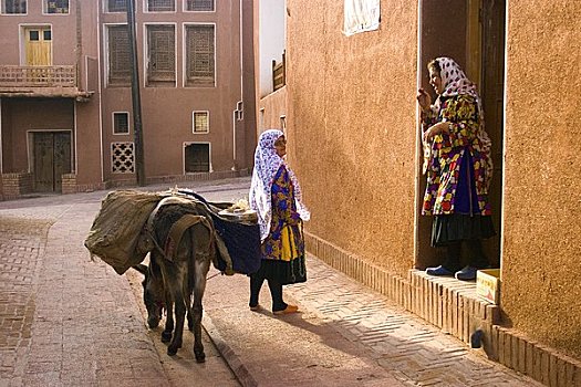 女人,驴,靠近,伊斯法罕,省,伊朗