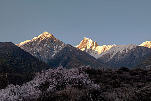 金山,斜阳