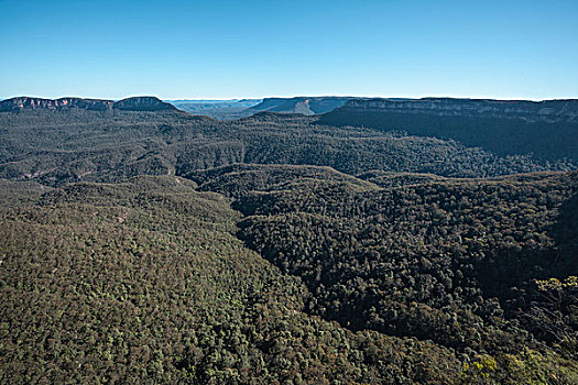 蓝山国家公园,新南威尔士,澳大利亚