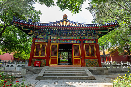 北京故宫,紫禁城,慈宁宫花园