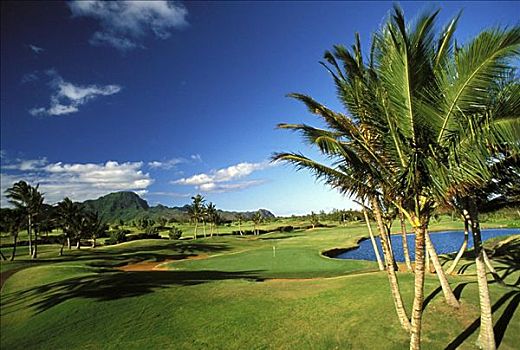 夏威夷,考艾岛,坡伊普,湾,高尔夫球场,洞,旗帜,水障碍,棕榈树,影子,绿色