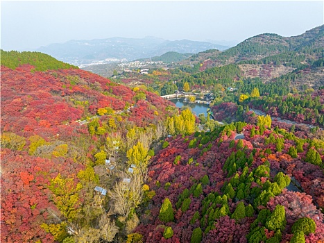 航拍济南红叶谷景区