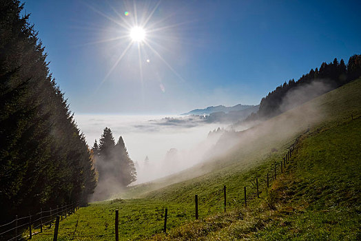 雾,阳光,高山牧场,施蒂里亚,奥地利,欧洲