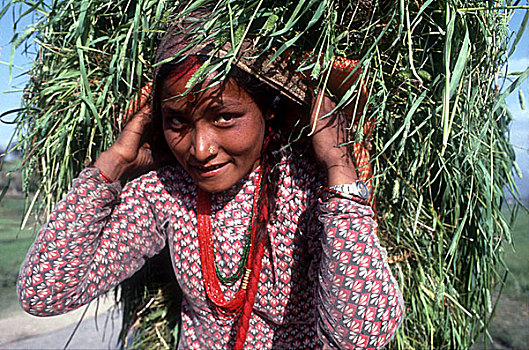 女人,背影,水牛,加德满都山谷,尼泊尔