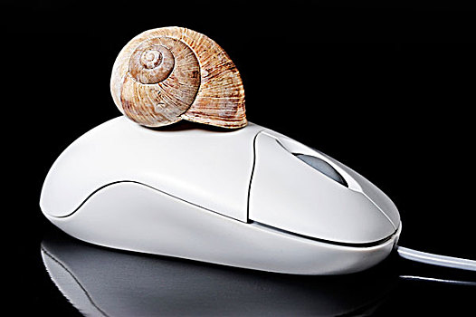 电脑,鼠标,蜗牛,壳,象征,图像,互联网
