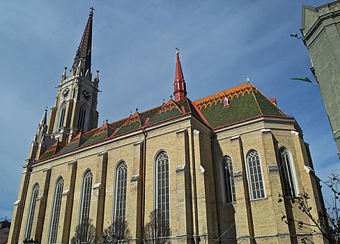 天主教,大教堂,中心,悲伤,塞尔维亚